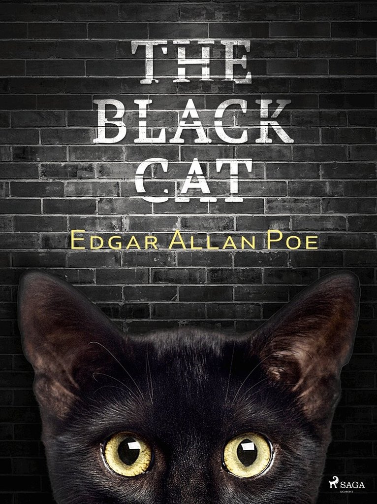 Edgar Allan Poe - The Black Cat, E-bok