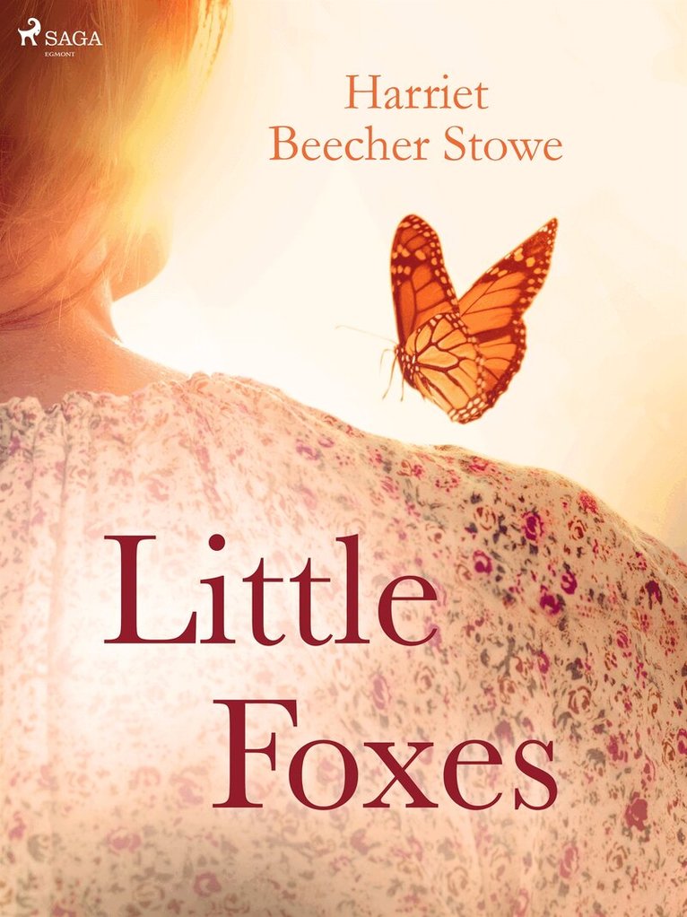 Harriet Beecher-Stowe - Little Foxes, E-bok