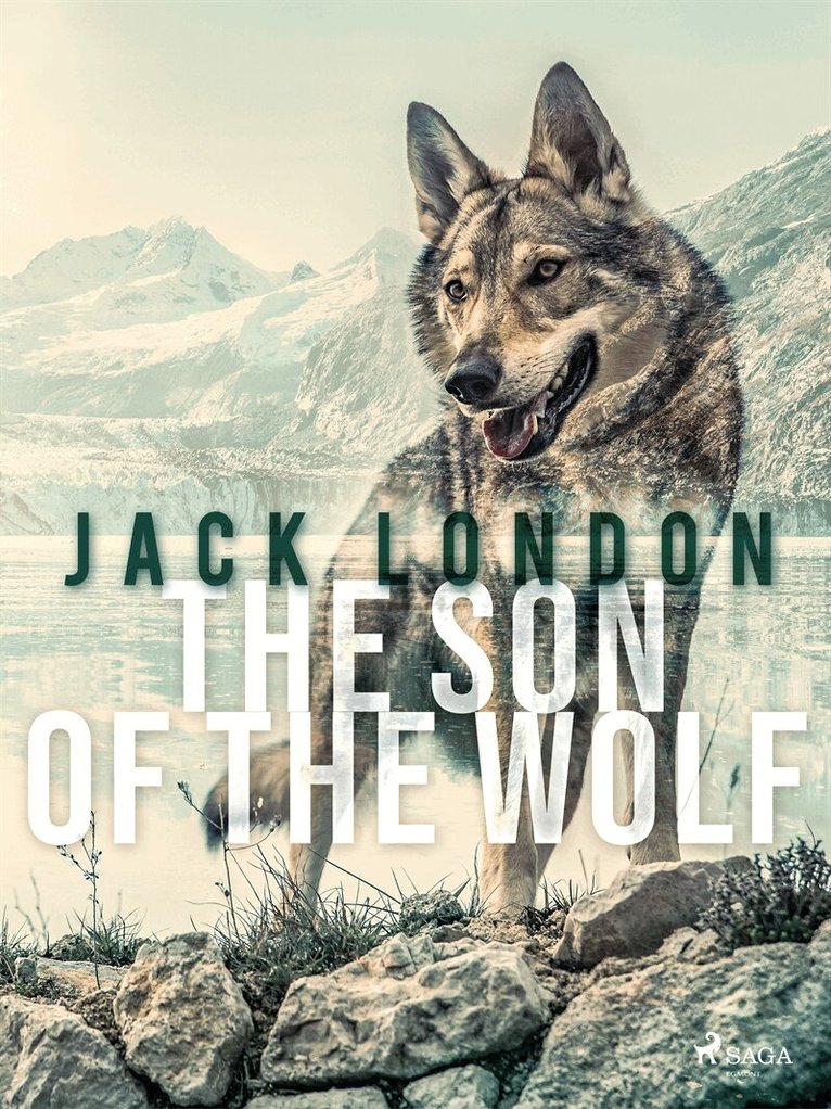 Jack London - The Son of the Wolf, E-bok