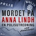 Mordet på Anna Lindh: en polisutredning