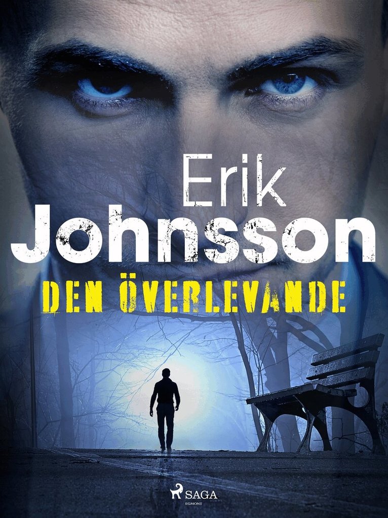 Erik Johnsson - Den överlevande, E-bok