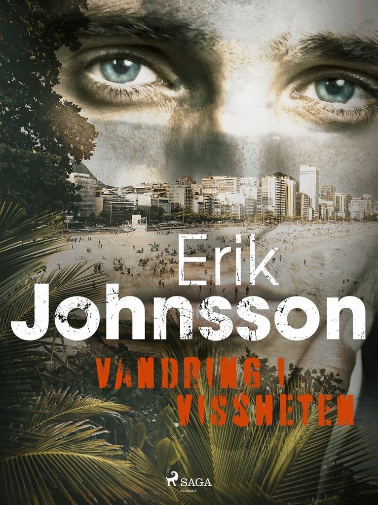 Erik Johnsson - Vandring i vissheten, E-bok