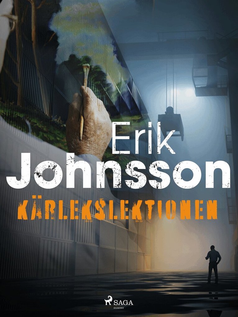 Erik Johnsson - Kärlekslektionen, E-bok