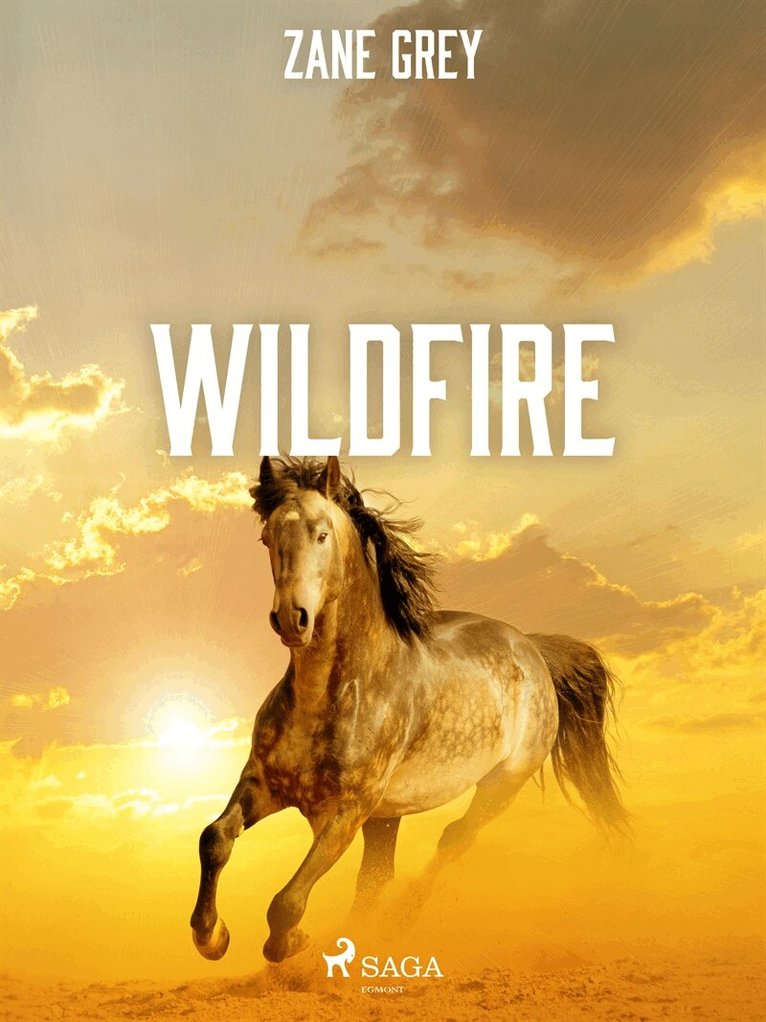 Zane Grey - Wildfire, E-bok