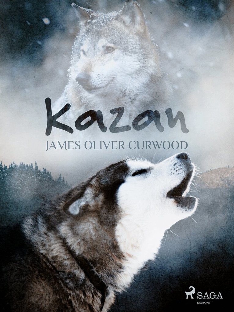 James Oliver Curwood - Kazan, E-bok
