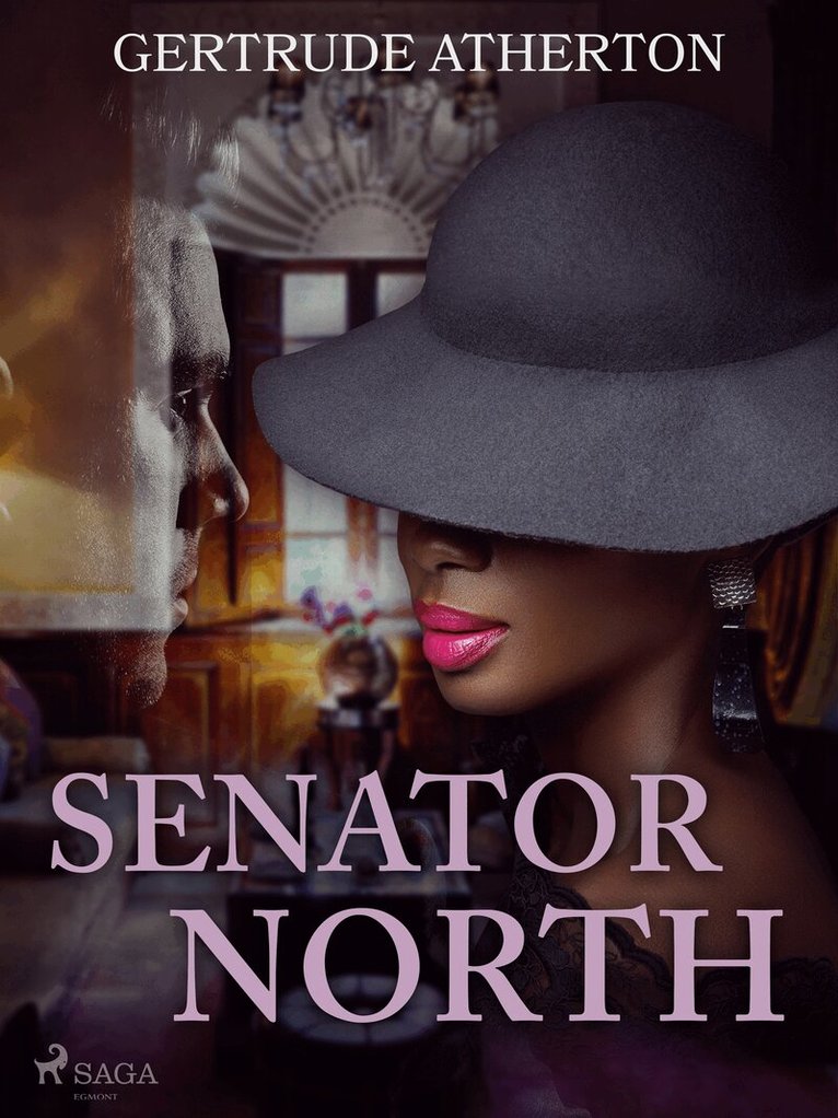 Gertrude Atherton - Senator North, E-bok
