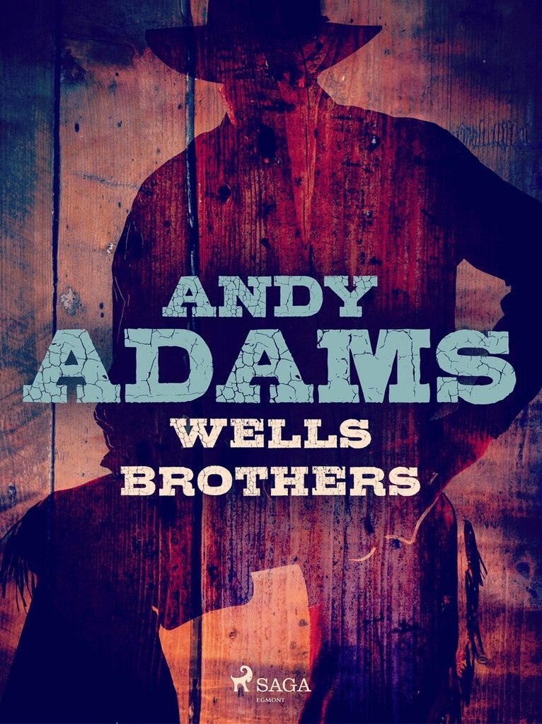 Andy Adams - Wells Brothers, E-bok