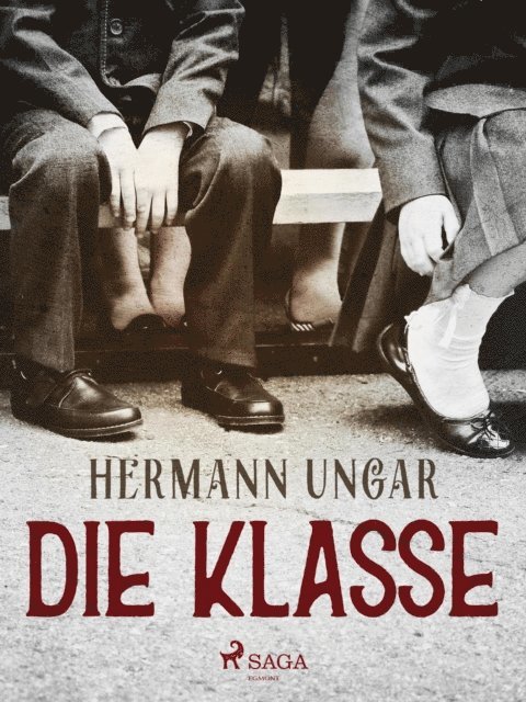 Hermann Ungar - Die Klasse, E-bok