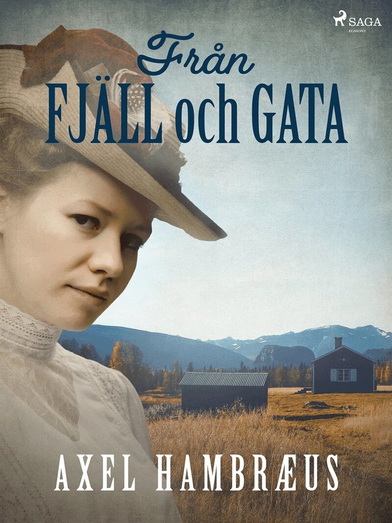 Axel Hambræus - Från fjäll och gata, E-bok