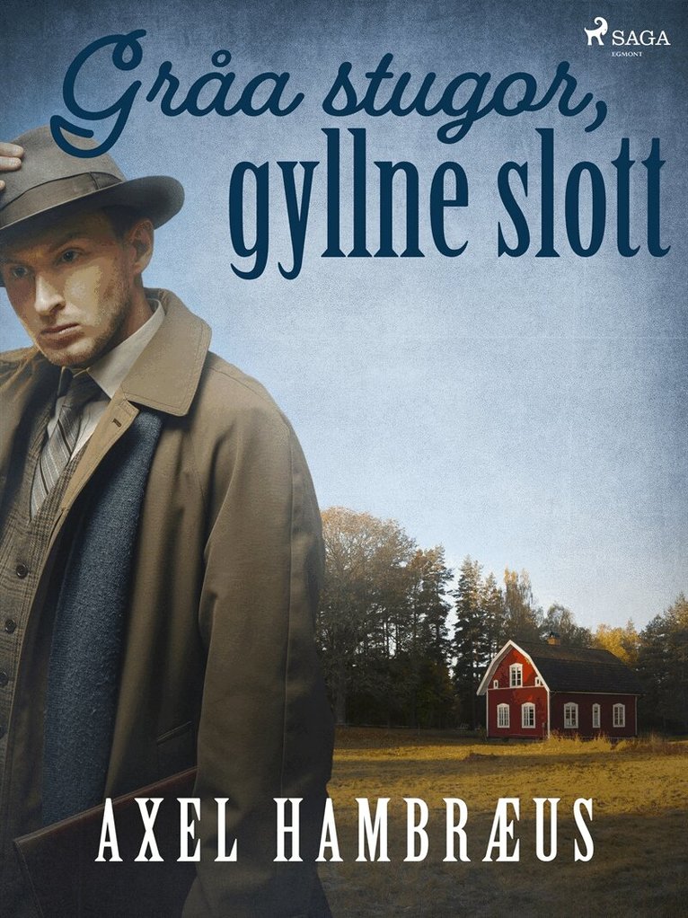 Axel Hambræus - Gråa stugor, gyllne slott, E-bok