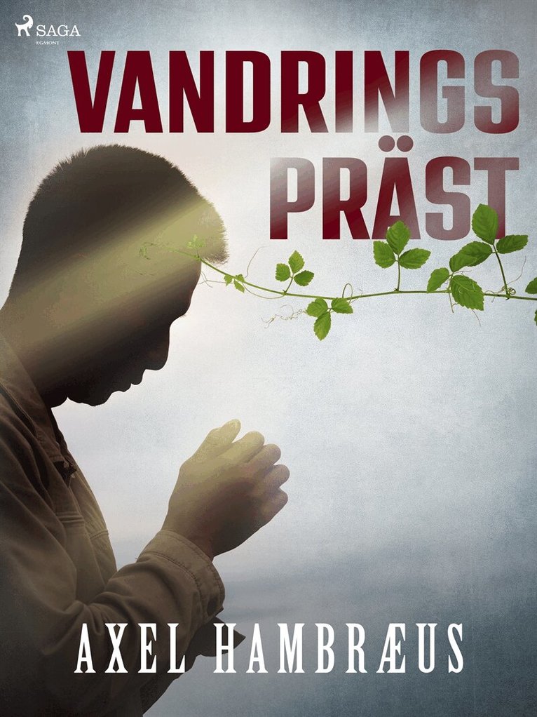 Axel Hambræus - Vandringspräst, E-bok
