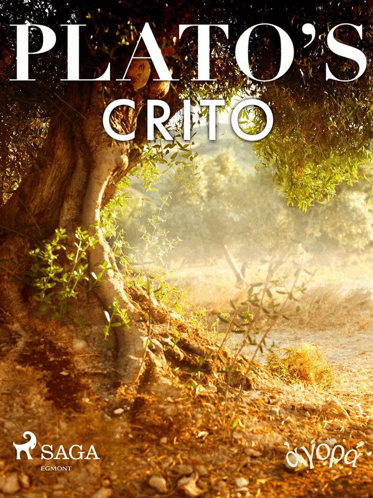 Plato - Plato’s Crito, E-bok
