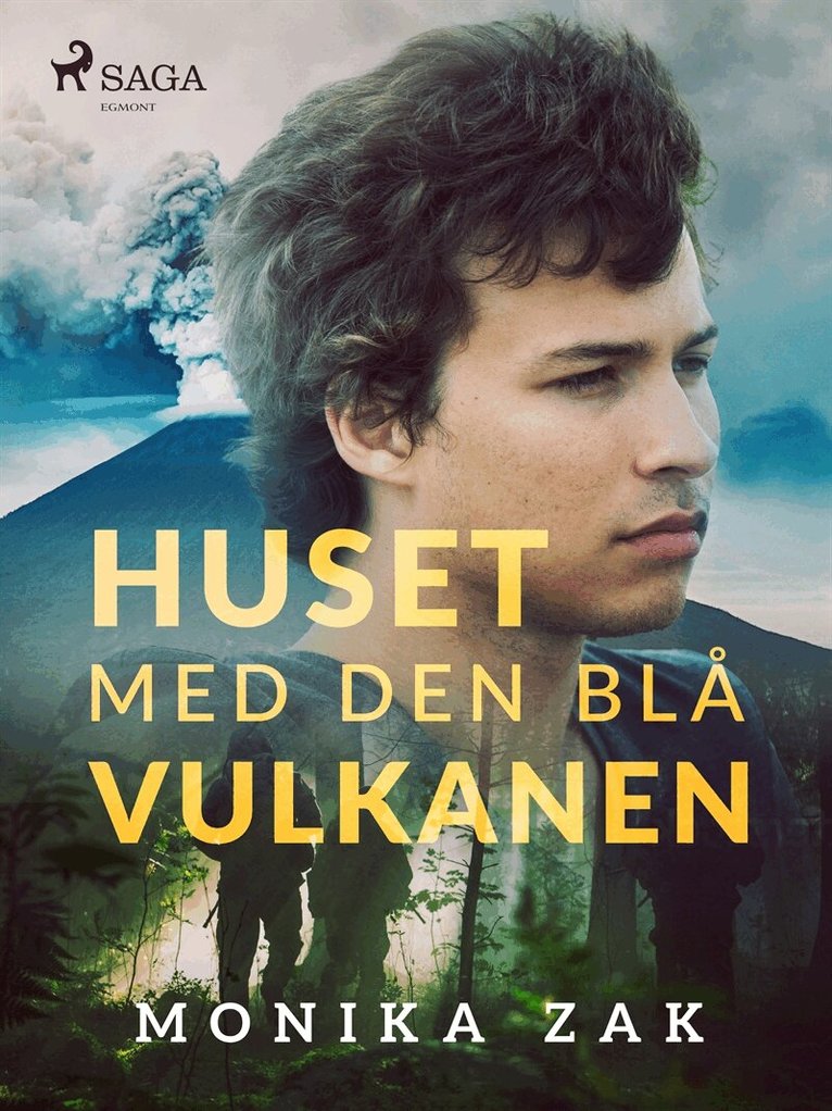 Monica Zak - Huset med den blå vulkanen, E-bok