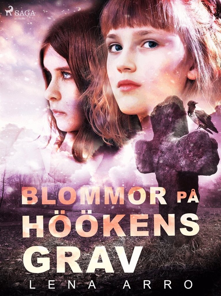 Lena Arro - Blommor på Höökens grav, E-bok