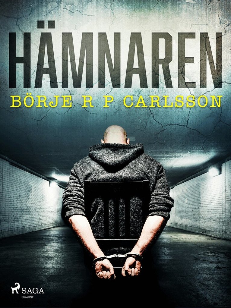 Börje R P Carlsson - Hämnaren, E-bok