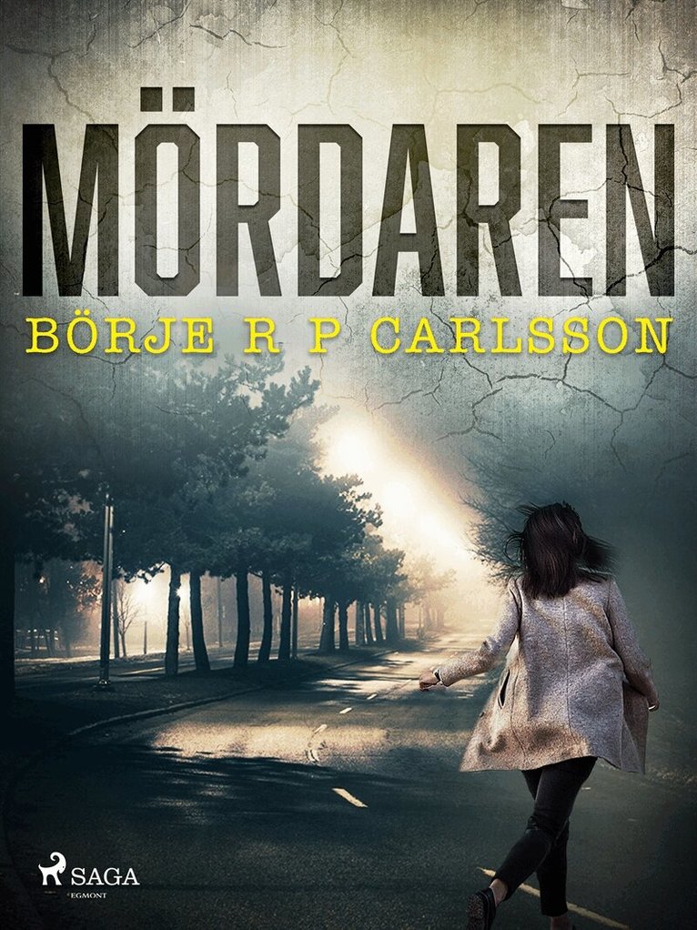 Börje R P Carlsson - Mördaren, E-bok