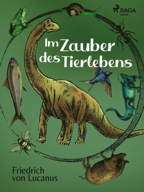 Friedrich von Lucanus - Im Zauber des Tierlebens, E-bok