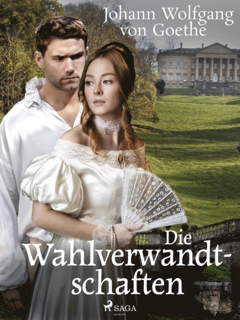 Johann Wolfgang von Goethe - Die Wahlverwandtschaften, E-bok