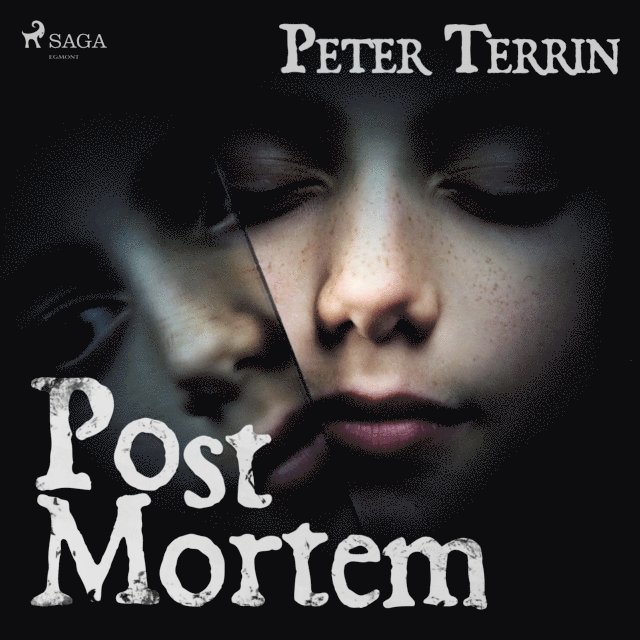 Terrin - Post mortem, Ljudbok