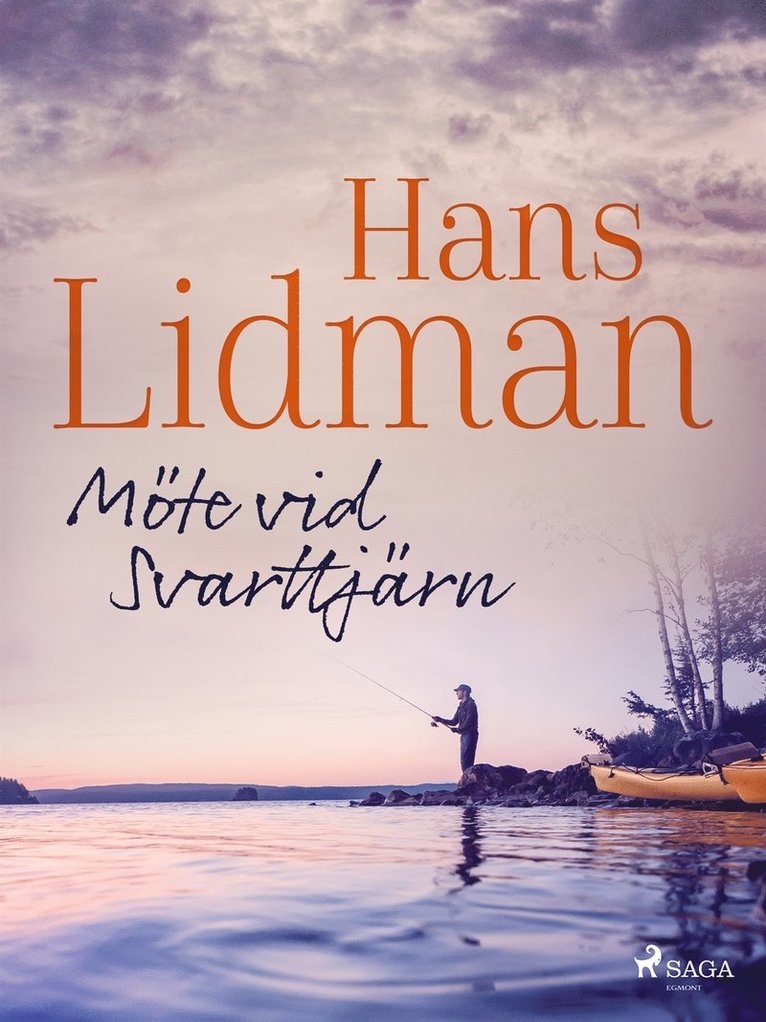 Hans Lidman - Möte vid Svarttjärn, E-bok