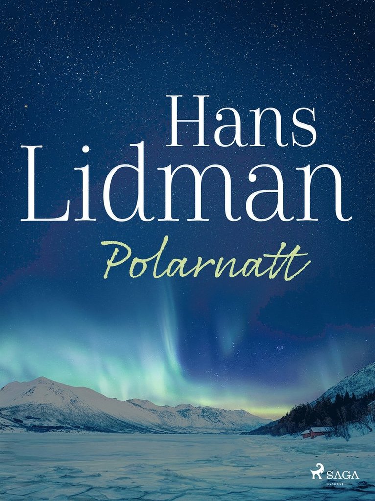 Hans Lidman - Polarnatt, E-bok