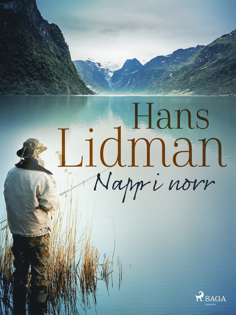 Hans Lidman - Napp i norr, E-bok