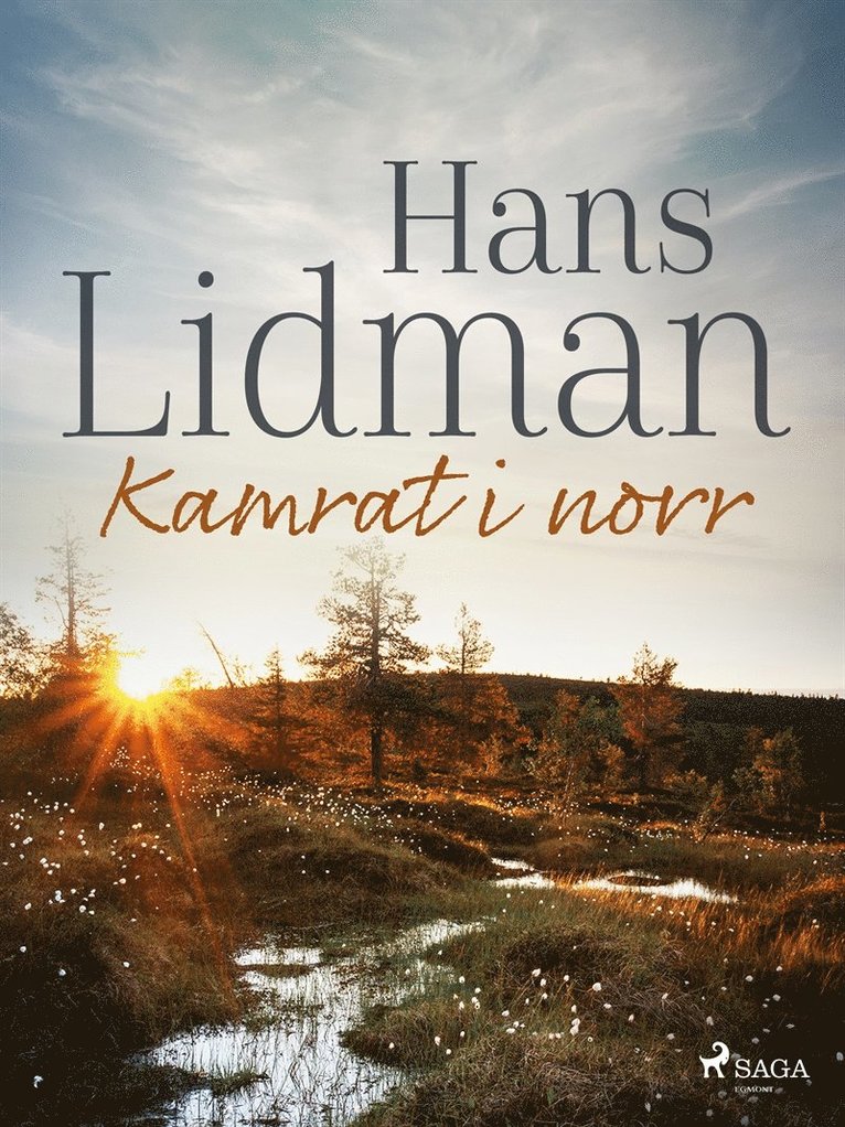Hans Lidman - Kamrat i norr, E-bok