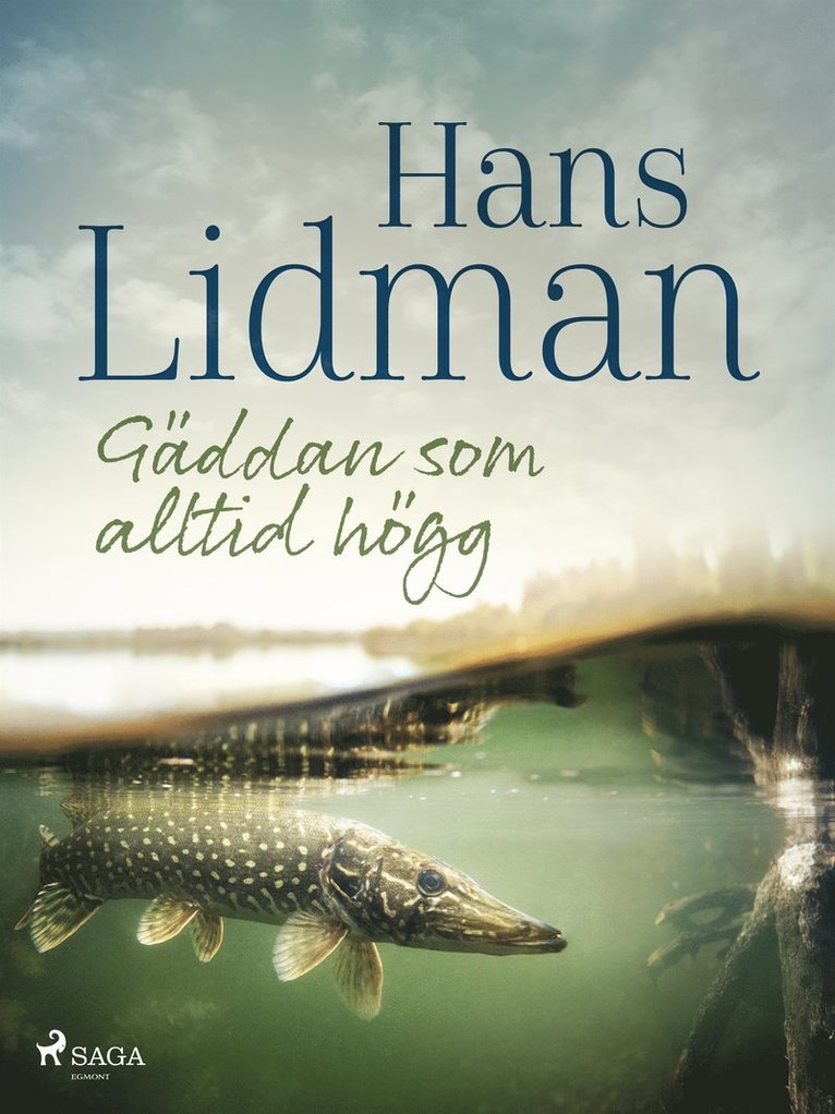 Hans Lidman - Gäddan som alltid högg, E-bok