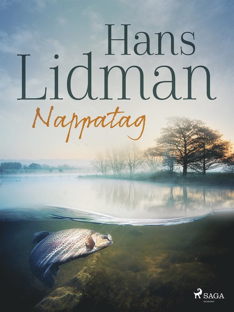 Hans Lidman - Nappatag, E-bok