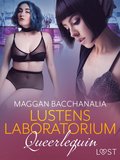 Queerlequin: Lustens Laboratorium