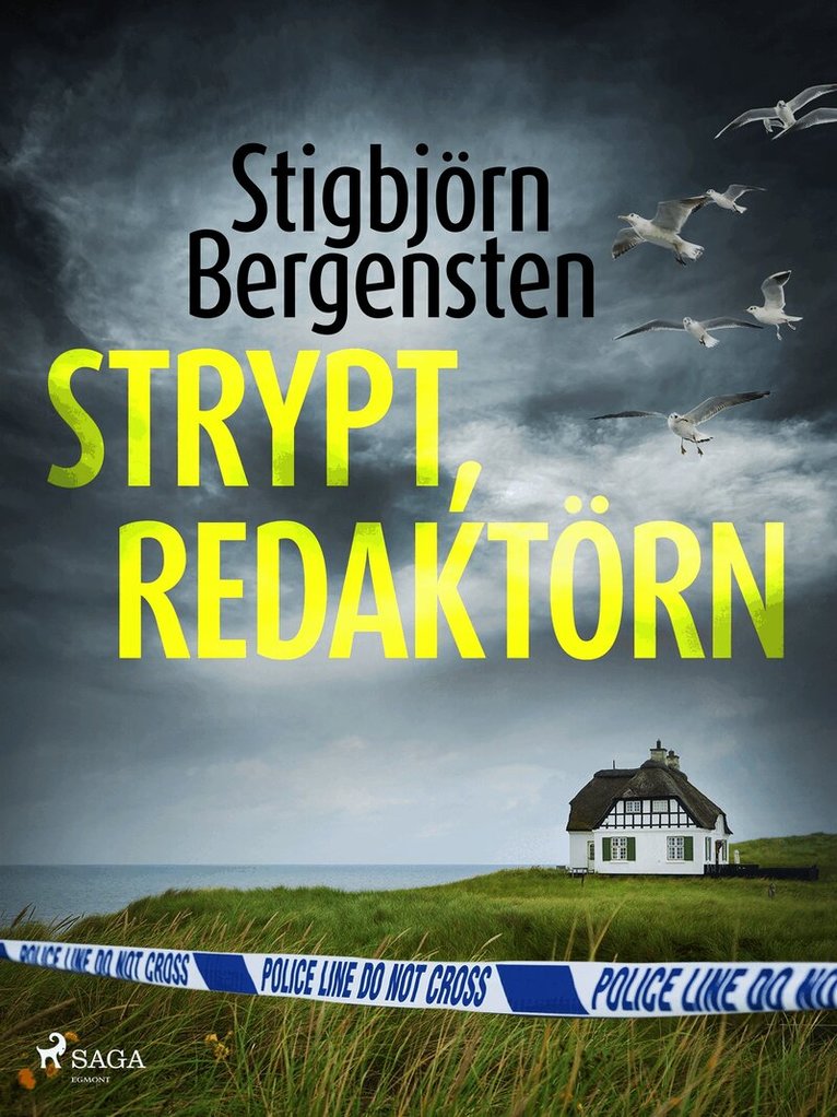 Stigbjörn Bergensten - Strypt, redaktörn, E-bok