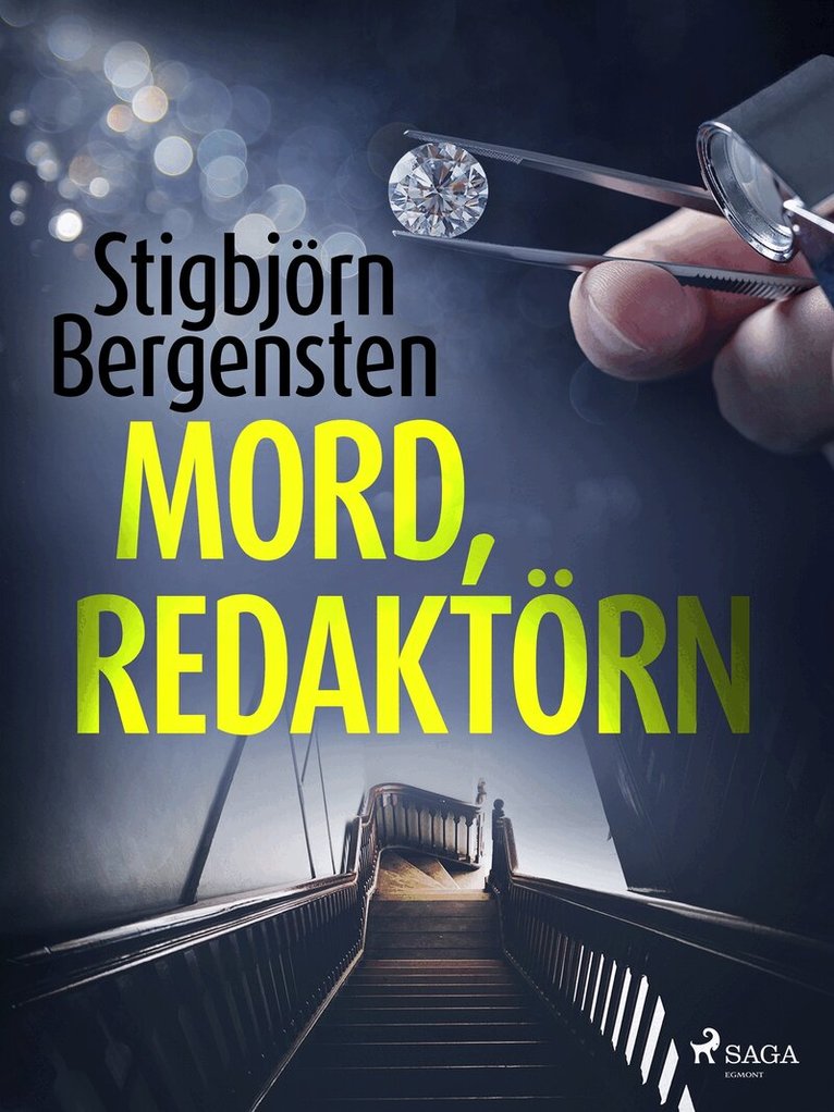Stigbjörn Bergensten - Mord, redaktörn, E-bok