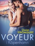 Voyeur i Kpenhamn del 1 - erotisk novell