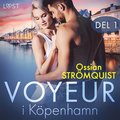 Voyeur i Kpenhamn del 1 - erotisk novell