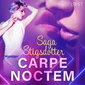 Carpe noctem ? eroottinen novelli