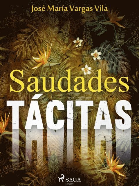 Jose Maria Vargas Vilas - Saudades tácitas, E-bok. Tillgänglighet: Lägg i varukorg