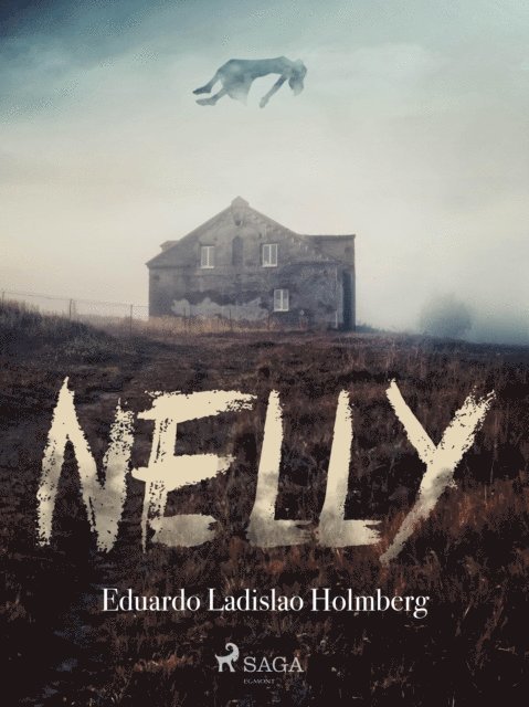 Eduardo Ladislao Holmberg - Nelly, E-bok