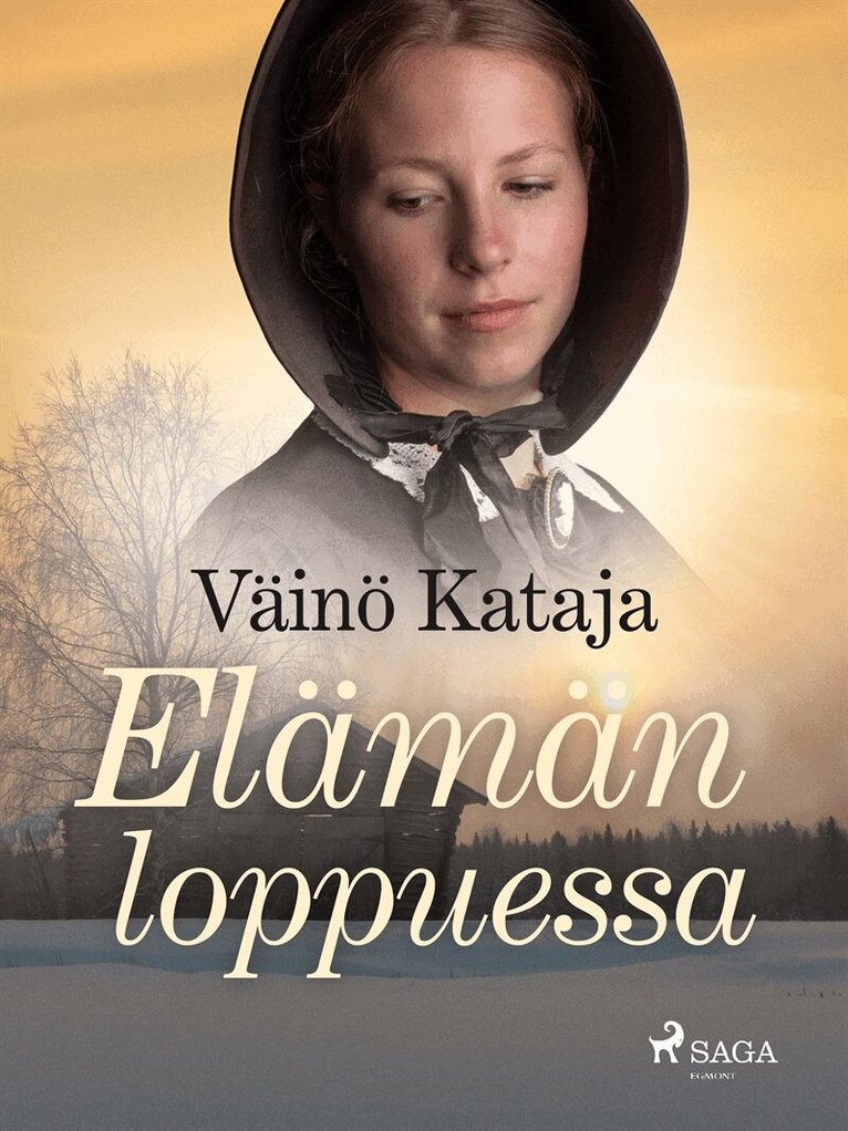 Väinö Kataja - Elämän loppuessa, E-bok