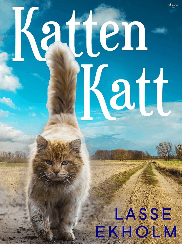 Lasse Ekholm - Katten Katt, E-bok