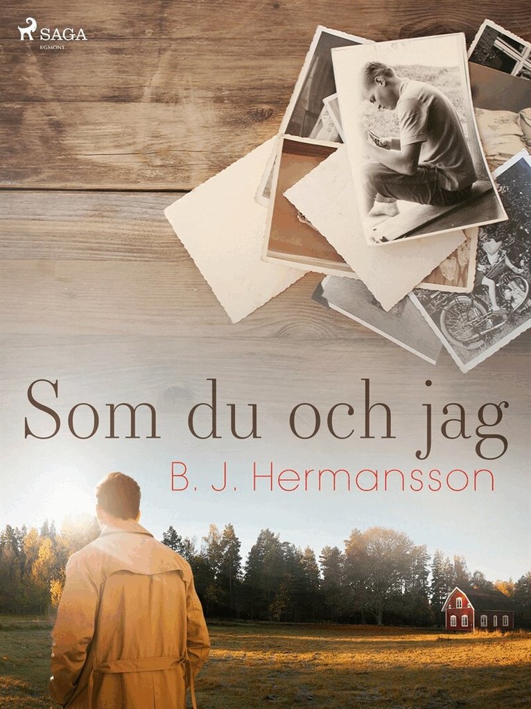 B. J. Hermansson - Som du och jag, E-bok