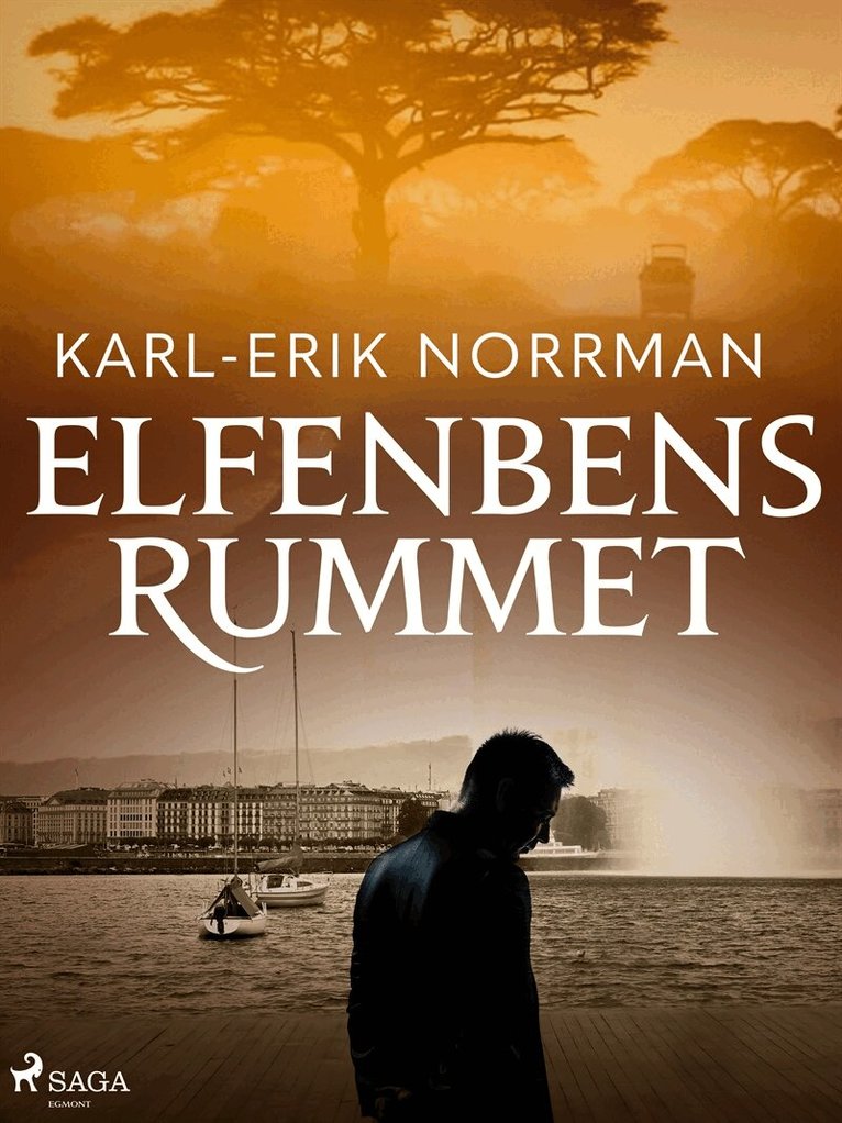 Karl-Erik Norrman - Elfenbensrummet, E-bok