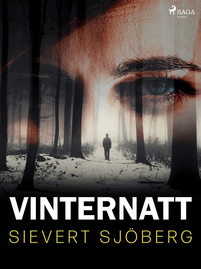 Sievert Sjöberg - Vinternatt, E-bok