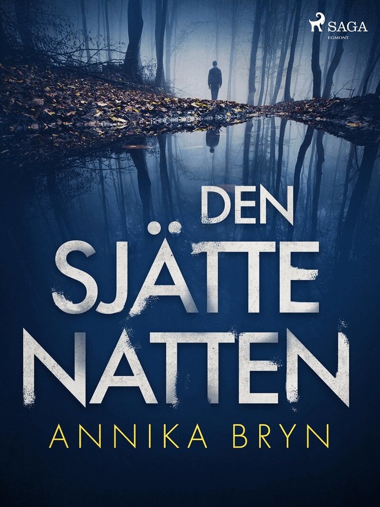 Annika Bryn - Den sjätte natten, E-bok