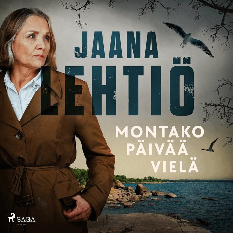 Jaana Lehtiö - Montako päivää vielä, Ljudbok
