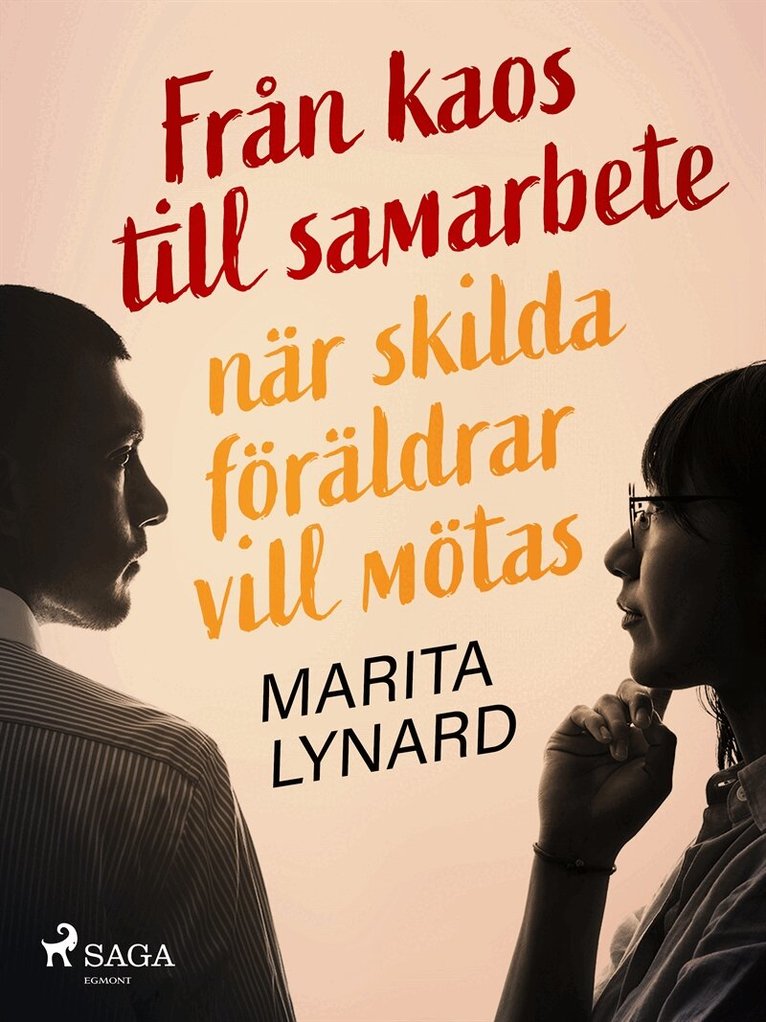 Marita Lynard - Från kaos till samarbete: när skilda föräldrar vill mötas, E-bok