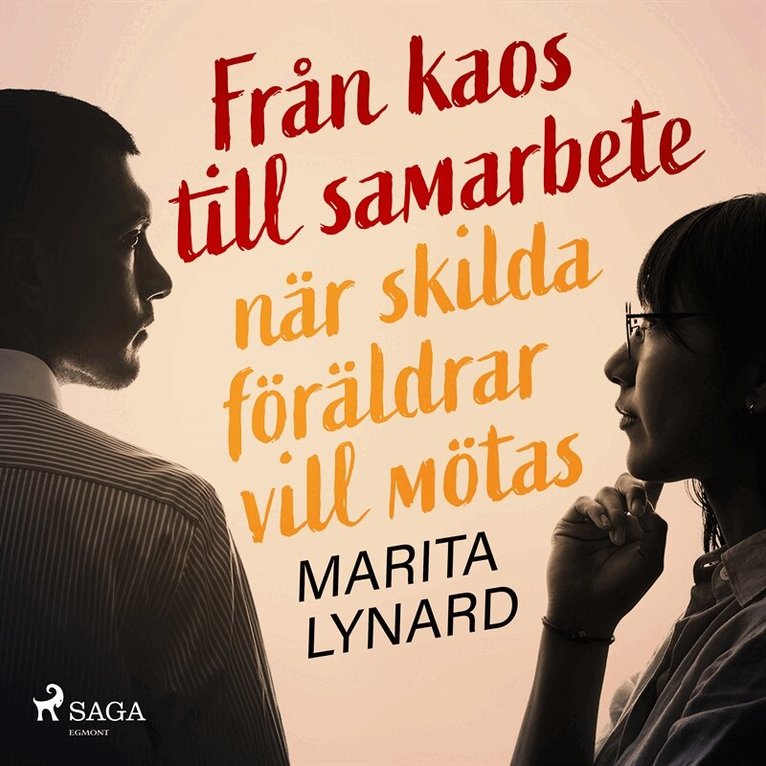 Marita Lynard - Från kaos till samarbete: när skilda föräldrar vill mötas, Ljudbok