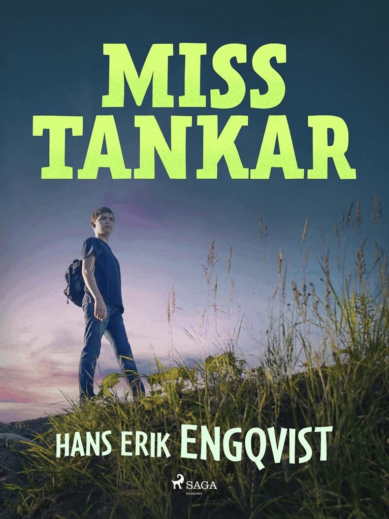 Hans Erik Engqvist - Misstankar, E-bok