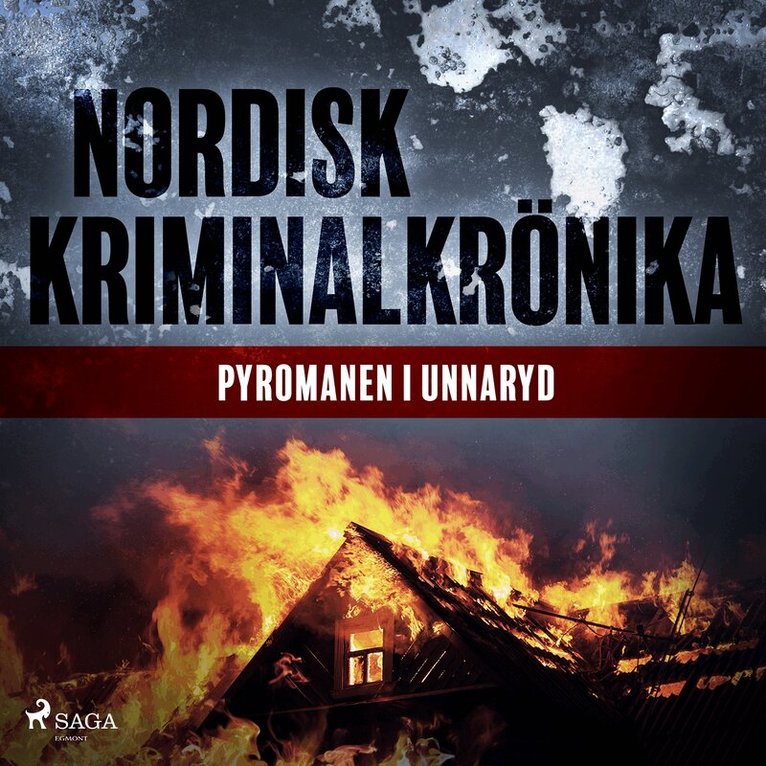 Diverse - Pyromanen i Unnaryd, Ljudbok