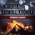 Pyromanen i Unnaryd