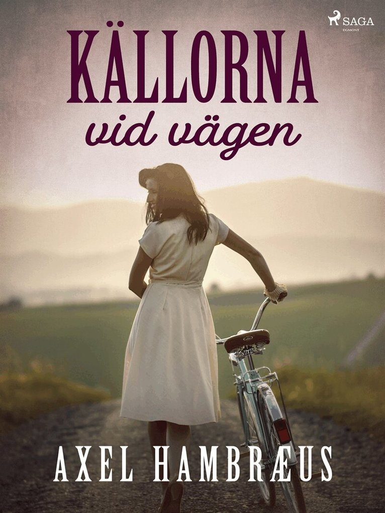 Axel Hambræus - Källorna vid vägen, E-bok